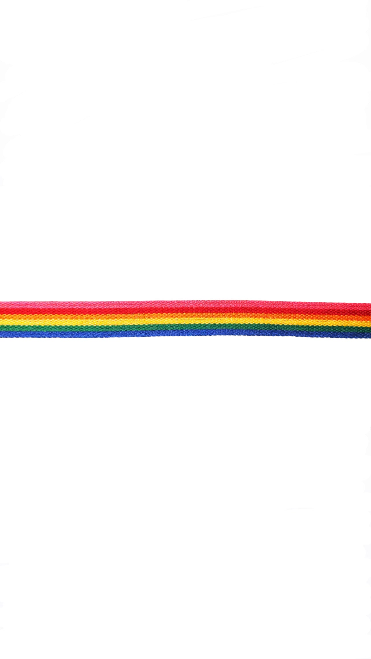 Rainbow Webbing 30mm