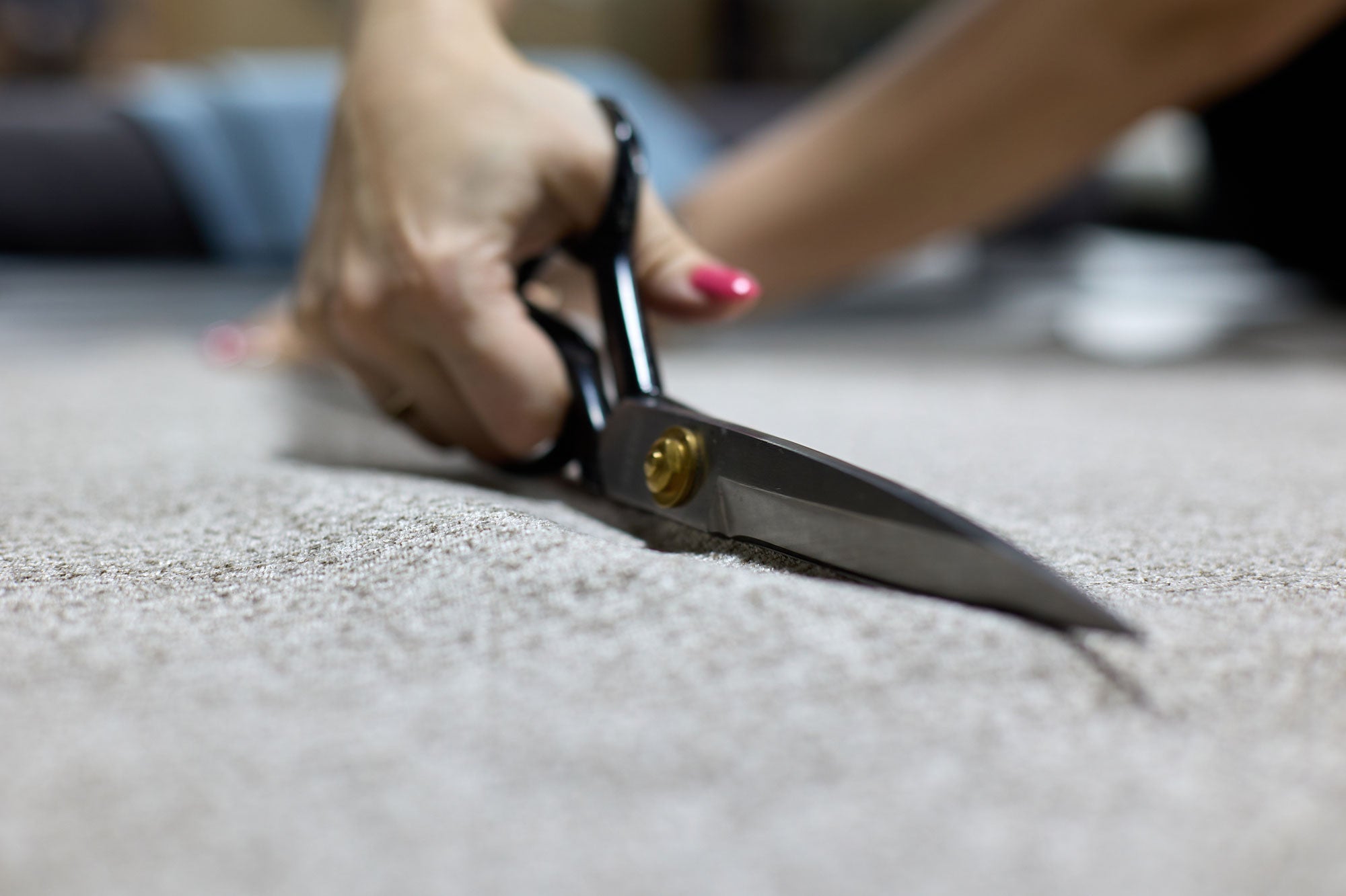 Scissors & Shears