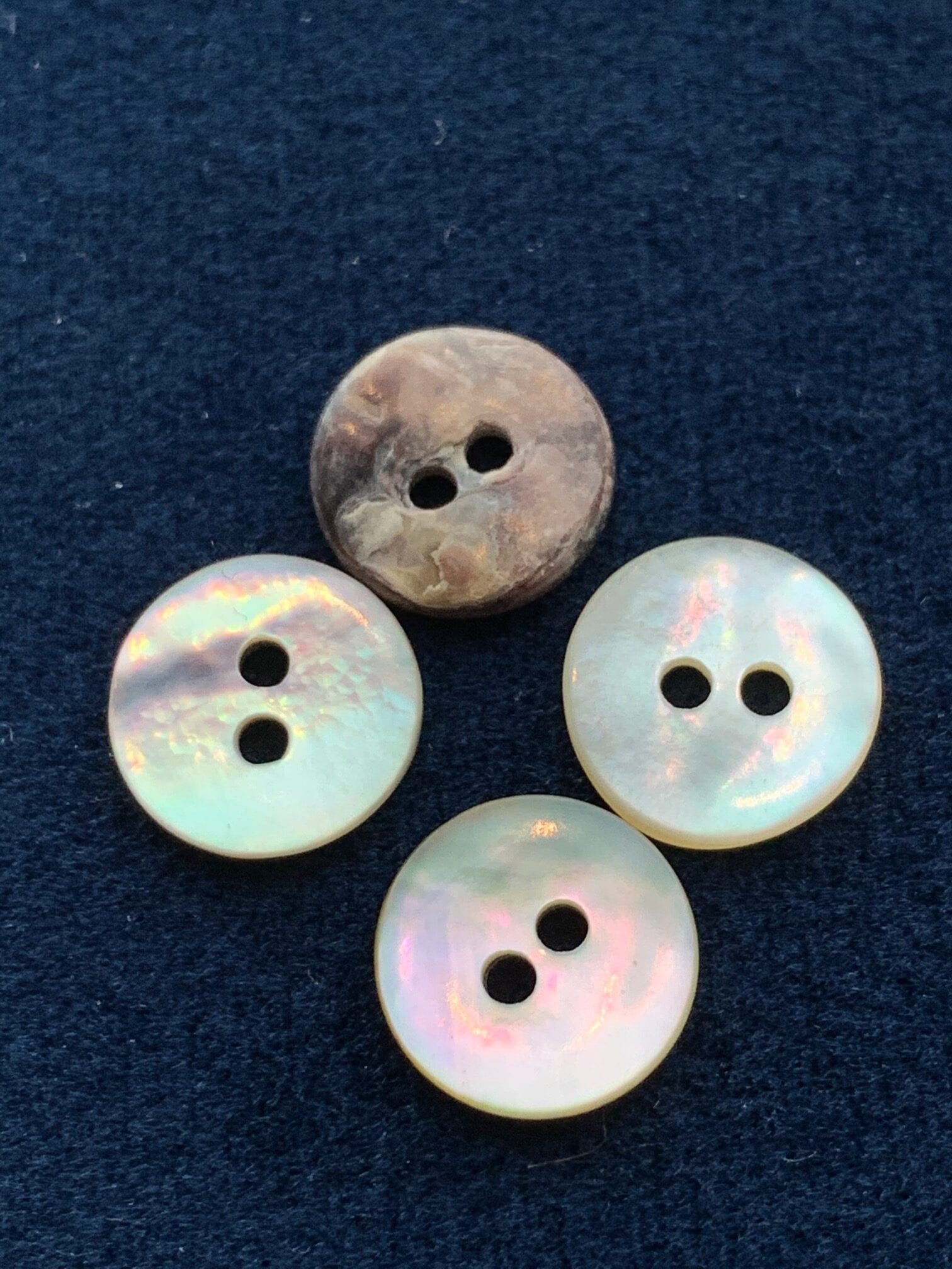 Agoya Shell Buttons, 10/23mm – ALFA-G Haberdashery